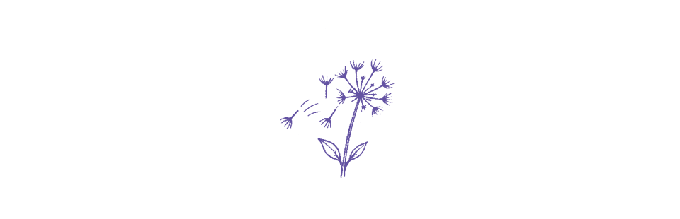 HC.image.09.png