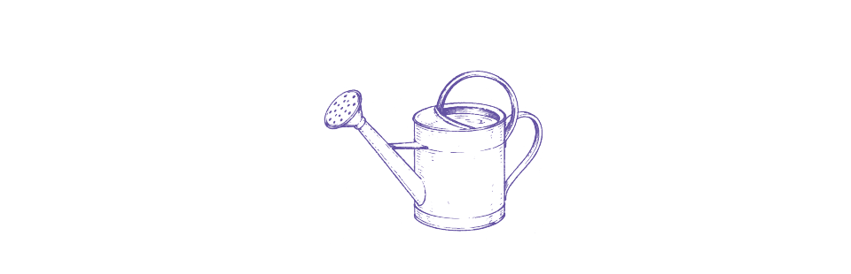 HC.image.10.png