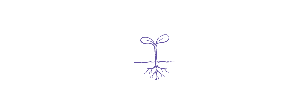 HC.image.03.png