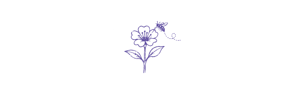 HC.image.07.png