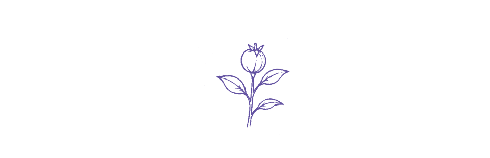 HC.image.08.png
