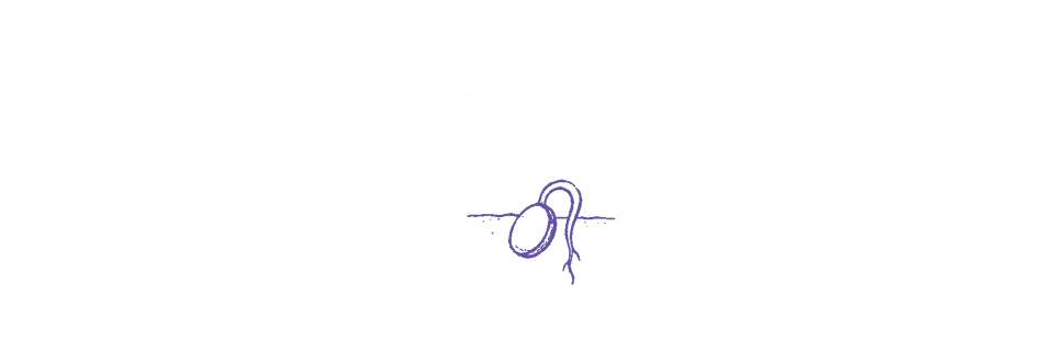 HC.image.02.png