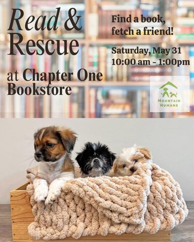 Read & Rescue.jpeg