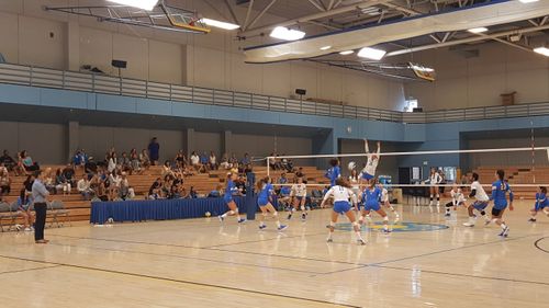 UCLA Women's Volleyball Game