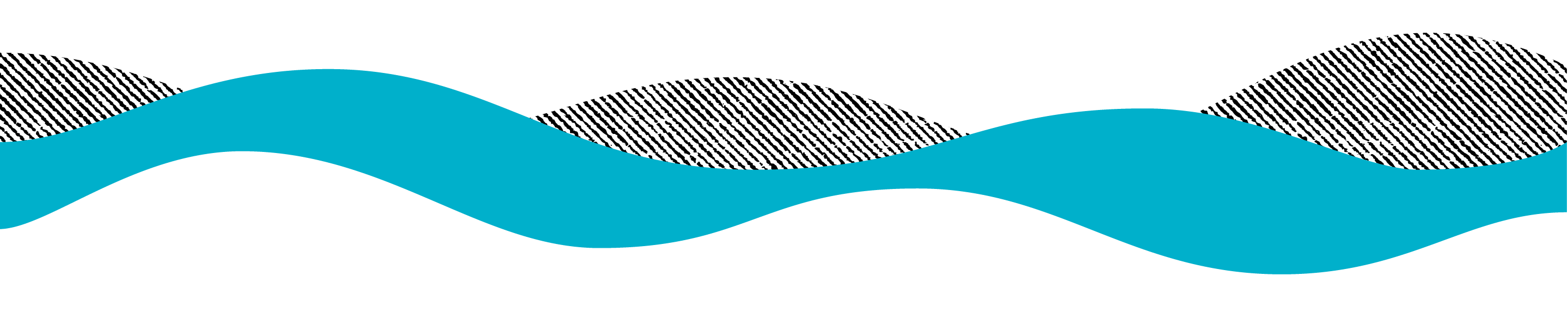 AboutPageHeader_Teal3.png
