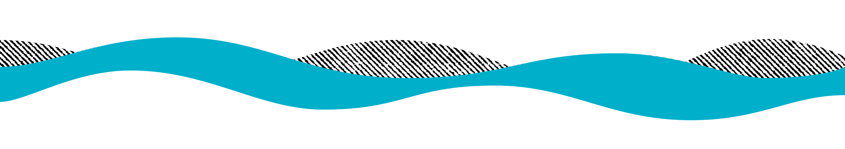 tealbanner.png