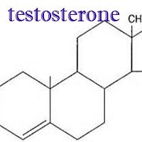 Dr. Gonino explains testosterone fad