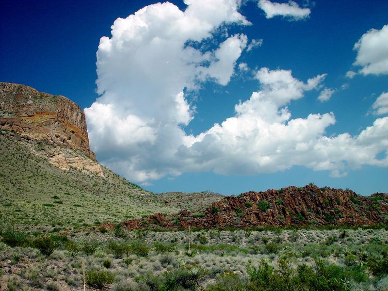 At Big Bend National Park