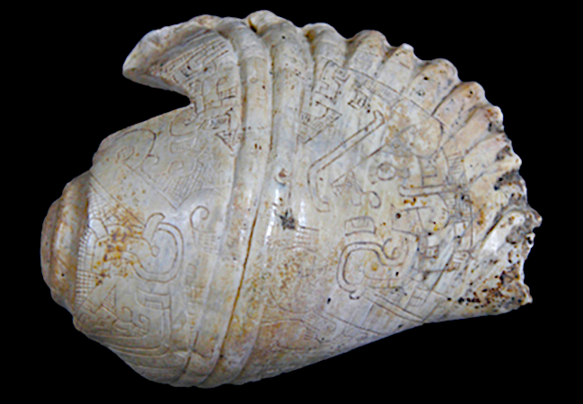 PeruShell.jpeg