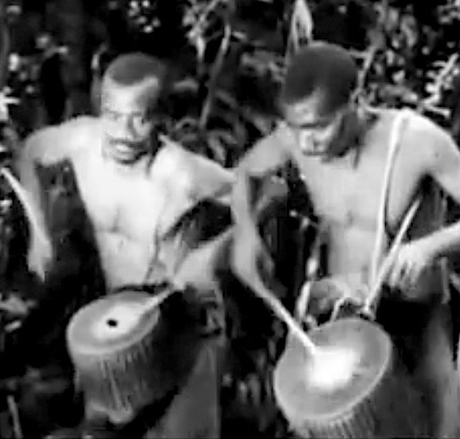 pygmydrummetrs.jpg