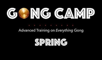 New Gong Camp Graph SPRING 420.jpeg