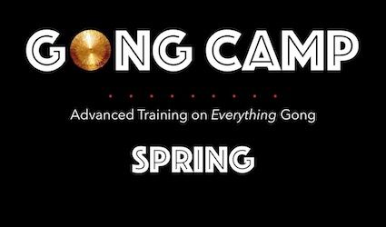 New Gong Camp Graph SPRING.jpeg