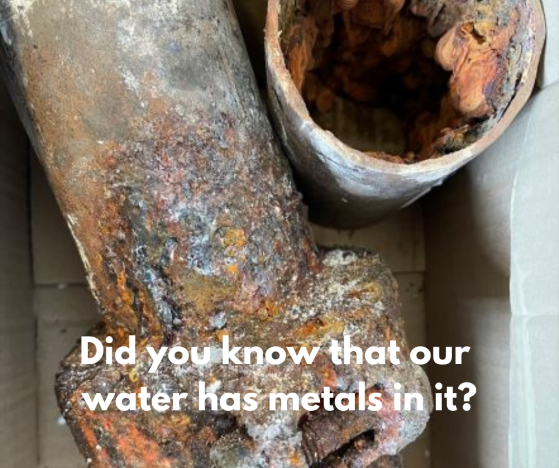 Did you know that our water has metals in it (1).png