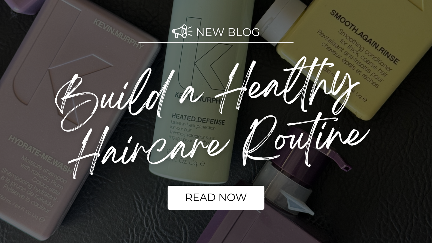 Copy of January 2026- Website Headers.png