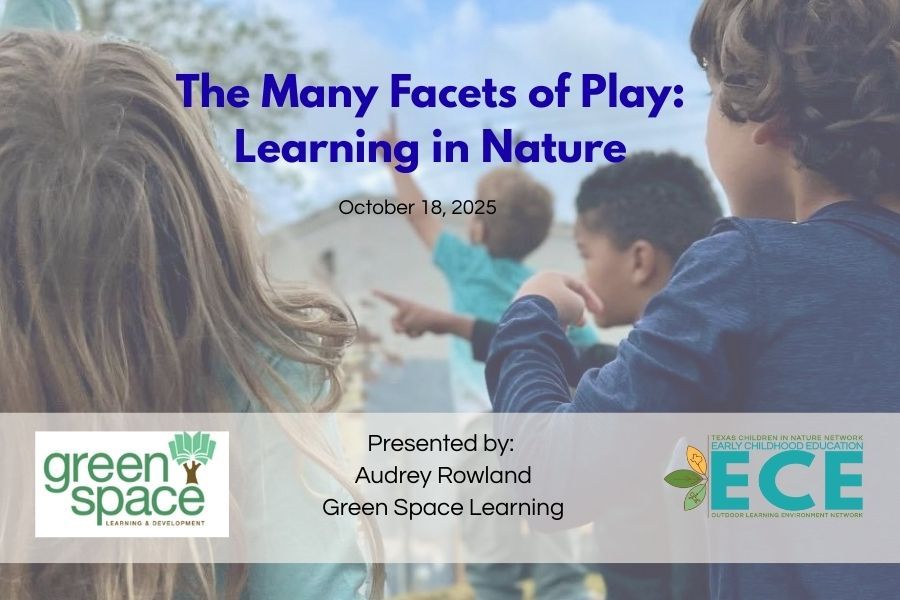 The Many Facets of Play Learning in Nature.jpg