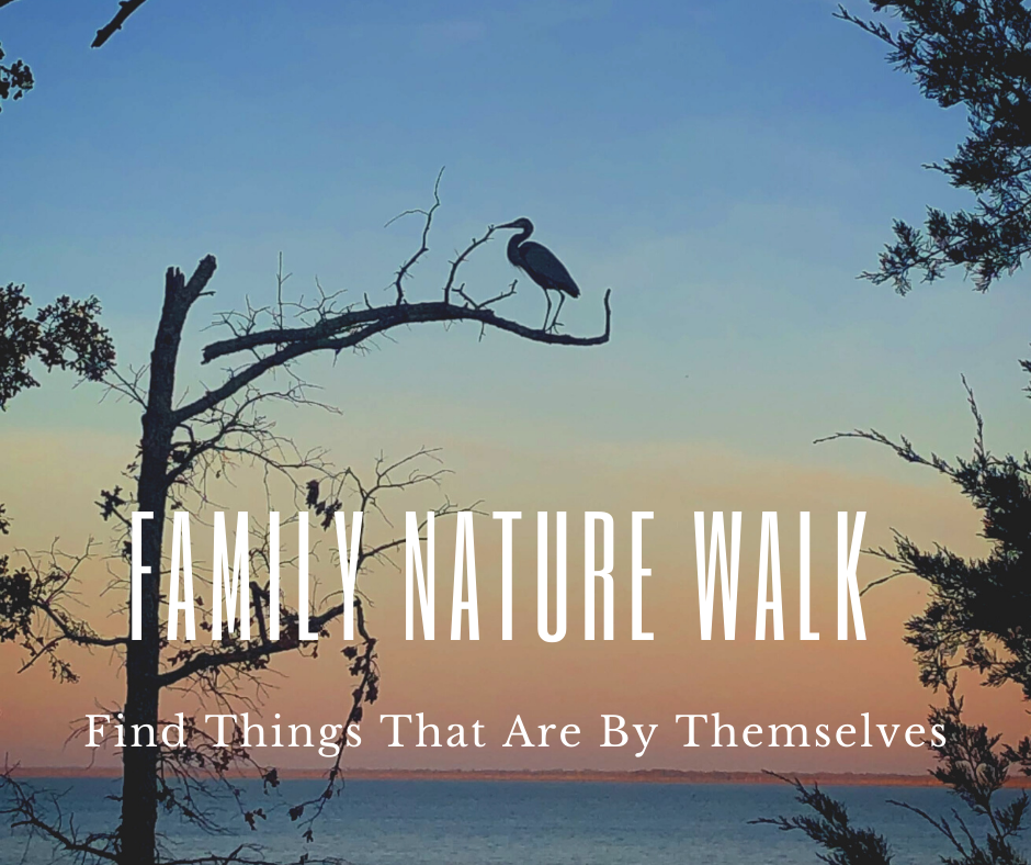 Family Nature Walk_ One.png