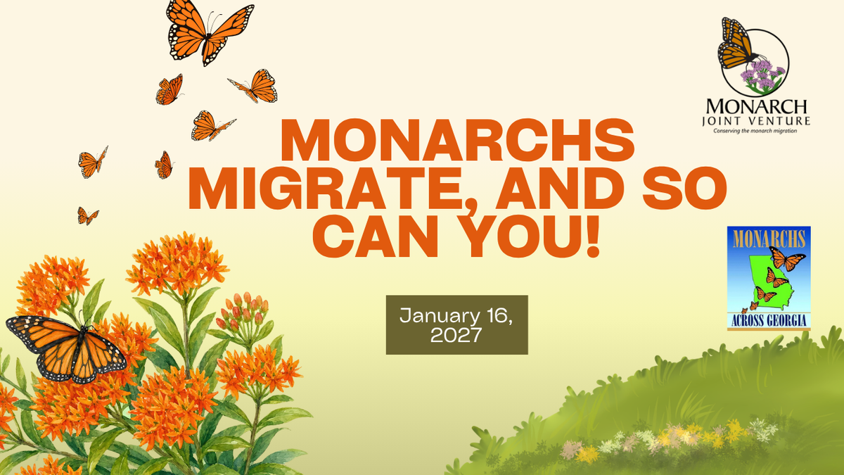 Monarchs Migrate, and So Can You! Thumb.png