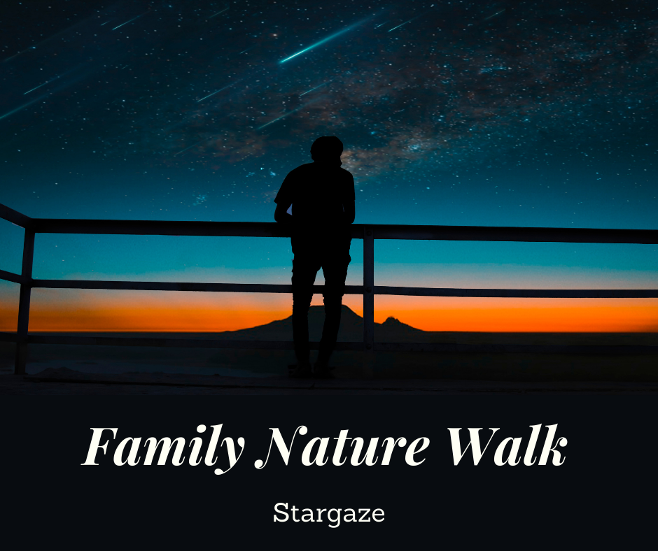 Family Nature Walk_ Stargaze.png