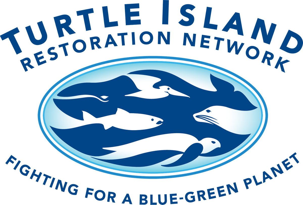 Turtle Island Restoration Network Turtle Island Restoration Network