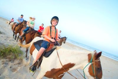 horse400.jpg