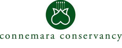 conlogo_vert_PMS357wo (1).jpg