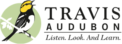 Travis Audubon: Listen.  Look. and Learn 