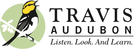 Travis Audubon Travis Audubon: Listen.  Look. and Learn