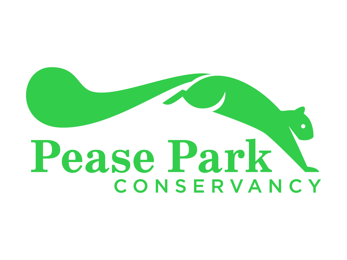 Pease Park Conservancy Pease Park Conservancy Logo