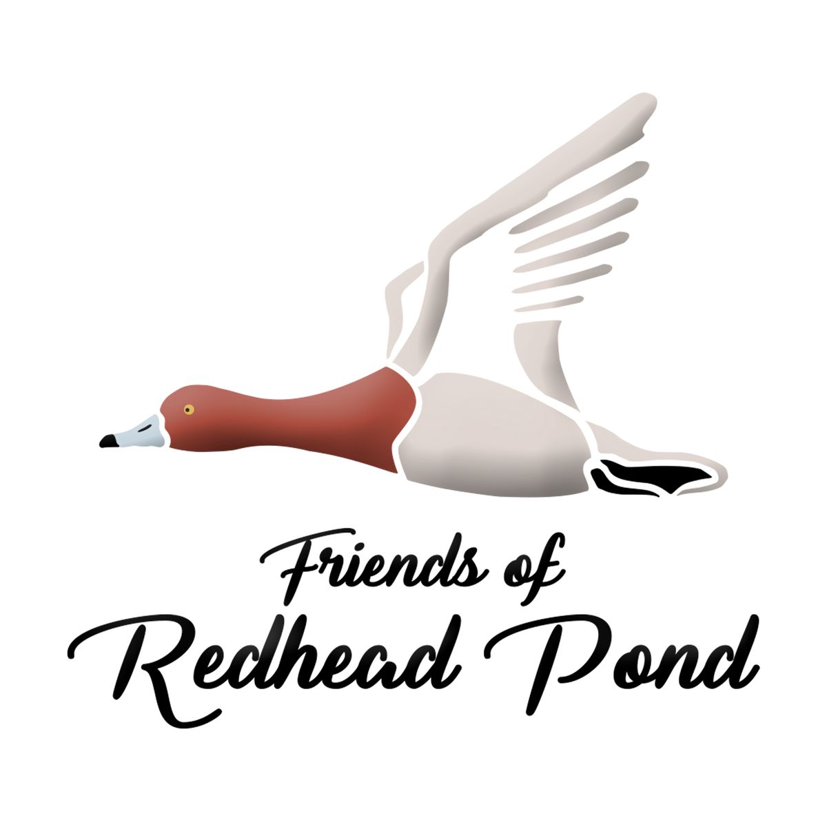 Friends of Redhead Pond and Environmental Stewardship Association Friends of Redhead Pond and Environmental Stewardship Association