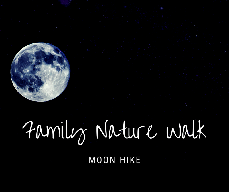 Full Moon Walk Texas Children In Nature