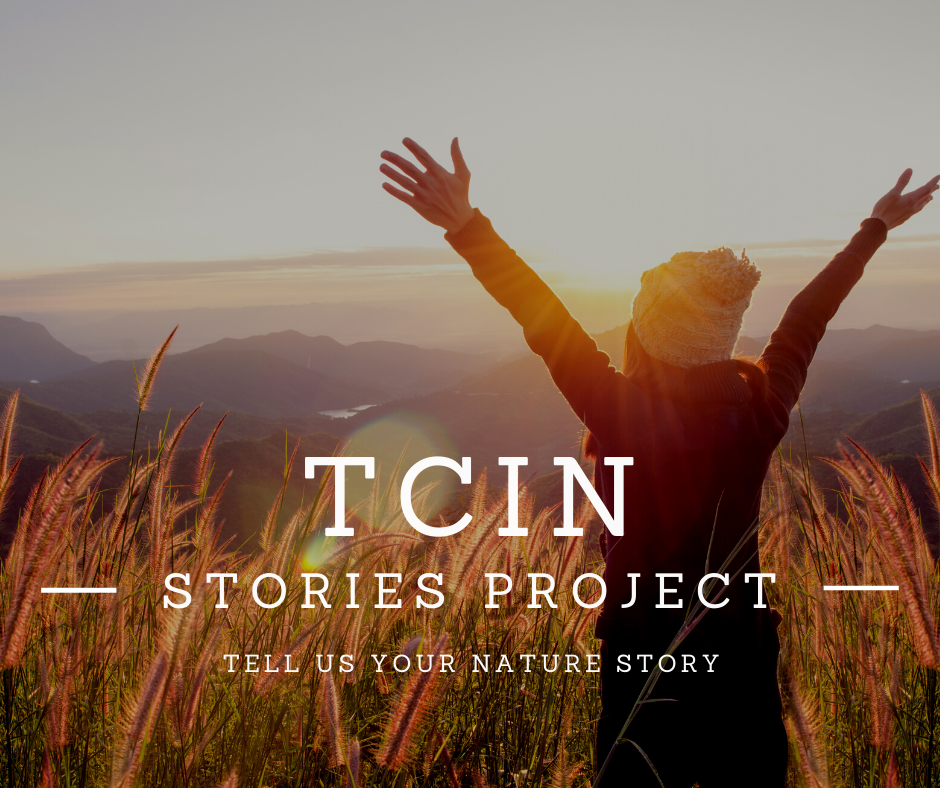 TCiN Stories Project.png