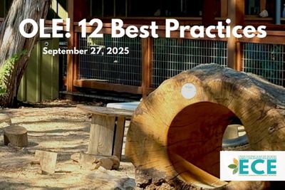 FB OLE! 12 Best Practices  .jpg