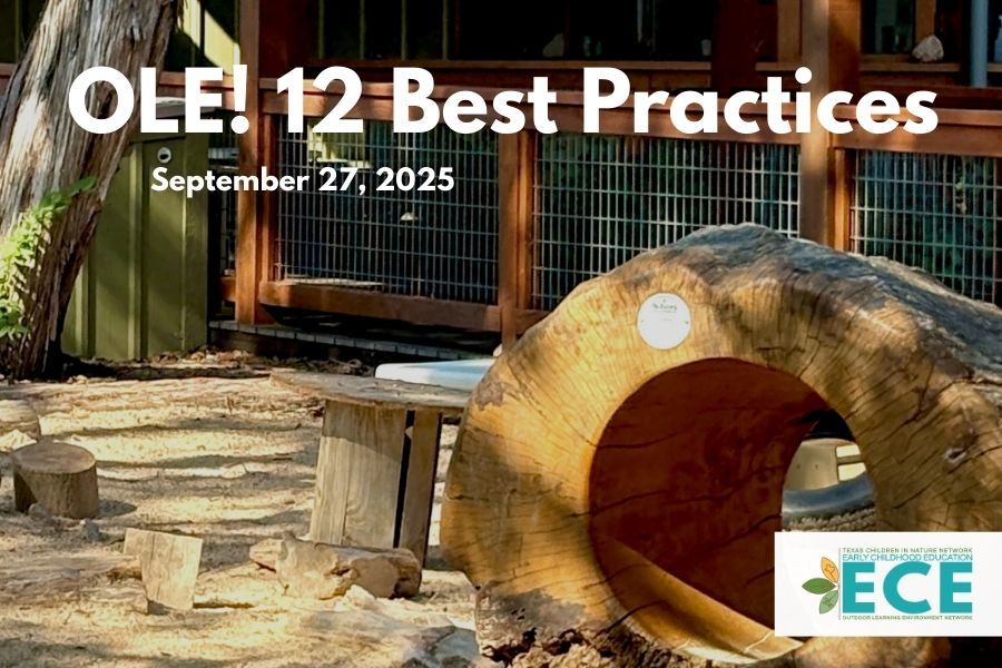 FB OLE! 12 Best Practices  .jpg