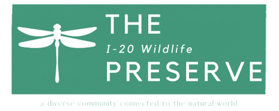 i20 Wildlife Preserve