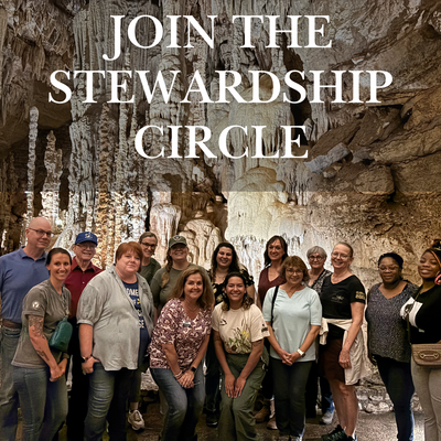 Stewardship Circle.png