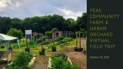 PEAS Community Farm and Urban Orchard Virtual Field Trip (1).png