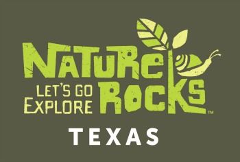 TXNR logo 350.jpg