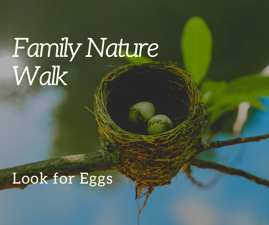 Family Nature Walk_ Eggs.png
