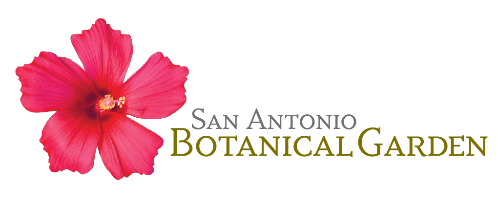 San Antonio Botanical Garden San Antonio Botanical Garden Logo