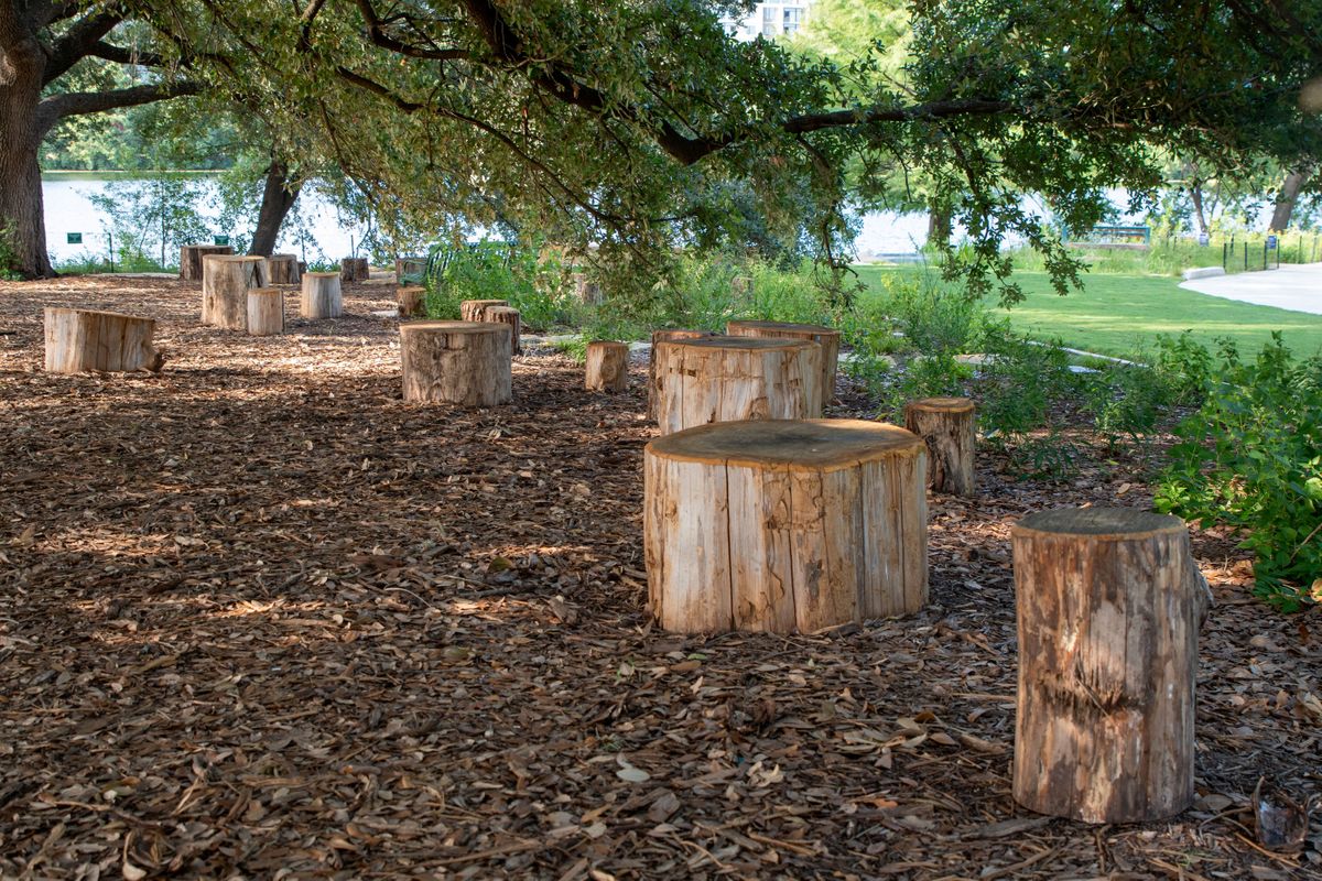 Creative Borders_Holly Pier Stump Area_credit The Trail Conservancy.jpg
