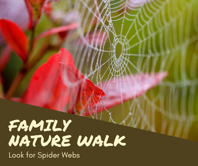Family Nature Walk Spider Webs.png