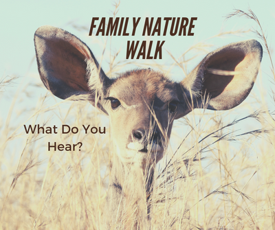 Family Nature Walk_ Listen.png
