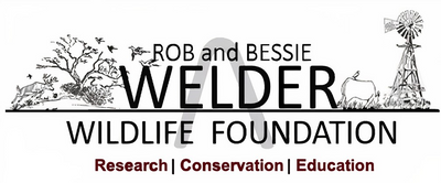 WelderWildlifeFoundation_Highrez.png