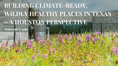 Building ClimateReady Wildly Healthy Places in Texas A Houston Perspective.png