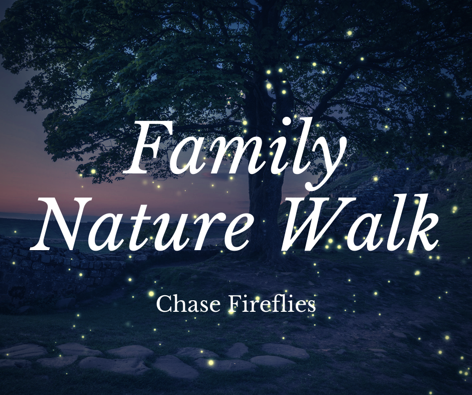 Family Nature Walk_ Fireflies.png