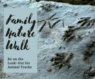Family Nature Walk Animal Tracks.png