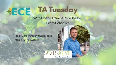 YouTube Ben Strube (YouTube Thumbnail).jpg