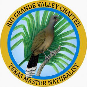 Rio Grande Valley Chapter Texas Master Naturalists Rio Grande Valley Chapter Texas Master Naturalists