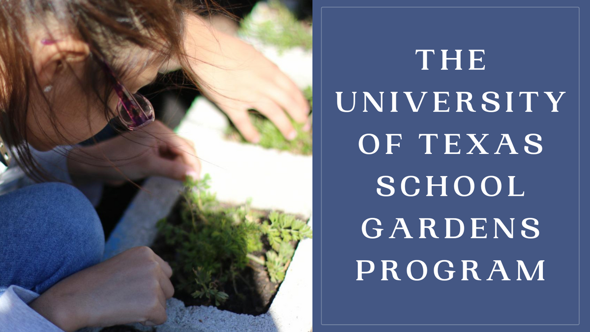 The University of Texas School Gardens Program.png
