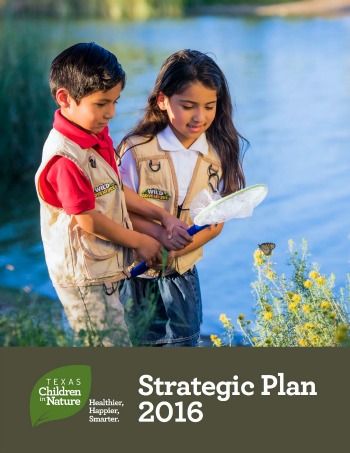 TCiN strategic plan 350.jpg